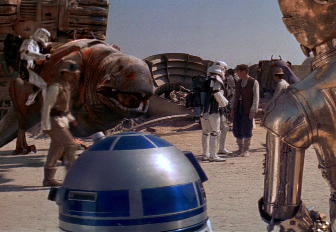 2floppyhats sw4-5472