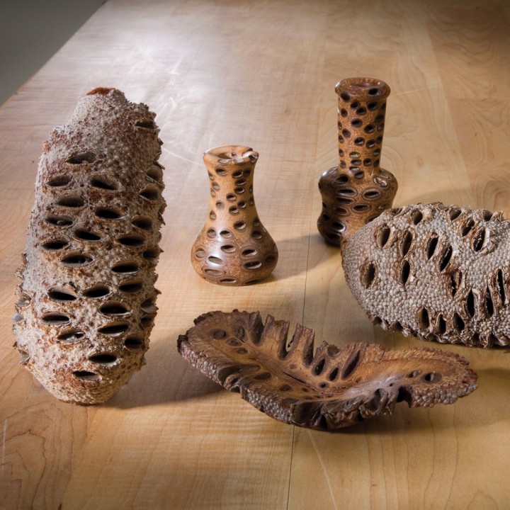 banksia31104-01-1000